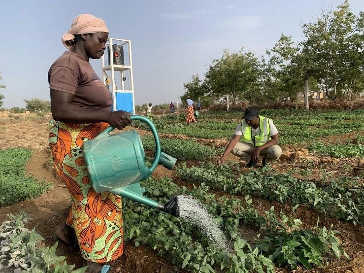 La fibre Humanitaire du PAM et de EFA Cameroon au service des plus vulnérables : distribution du Cash restrictif a Kourgui et Kossa dans le Mayo Sava, Mars 2026